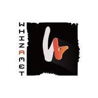 Whizamet Services Pvt Ltd